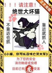 猫，你可以召唤亡灵大军