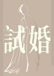 试婚