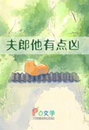 夫郎他有点凶